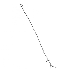 ふ  じこ大集合