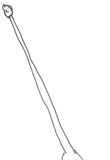 ふ  じこ大集合